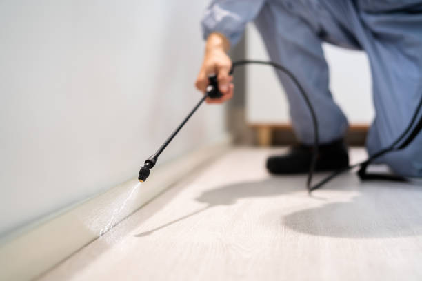 Certified termite inspector examining foundation in Sparks